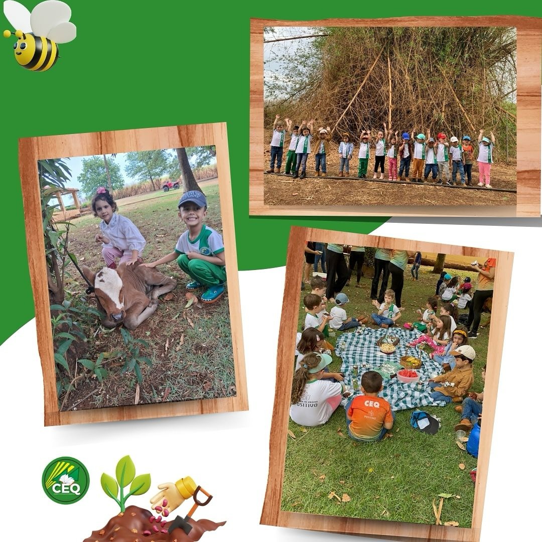 Educação Infantil CEQ